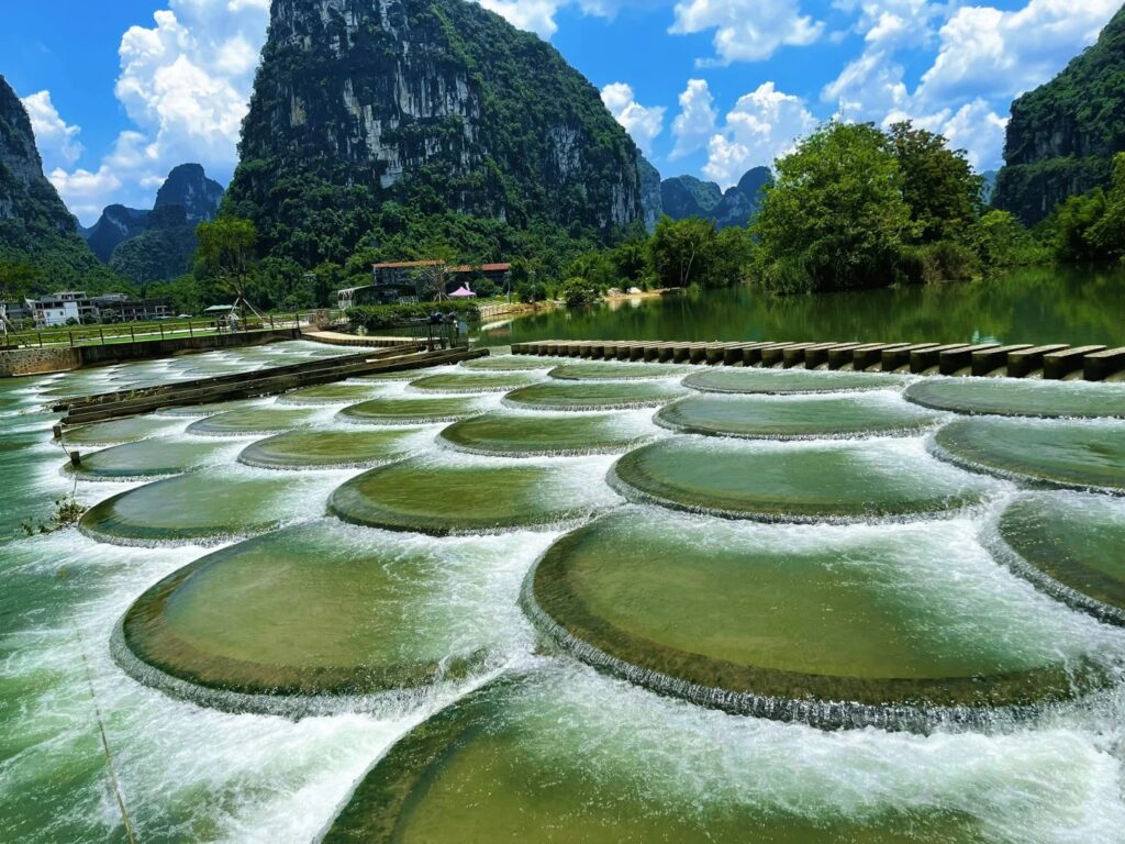 ทัวร์ฮาลาลหนานหนิง 5วัน4คืน วันที่ 3 ภาพที่ 2