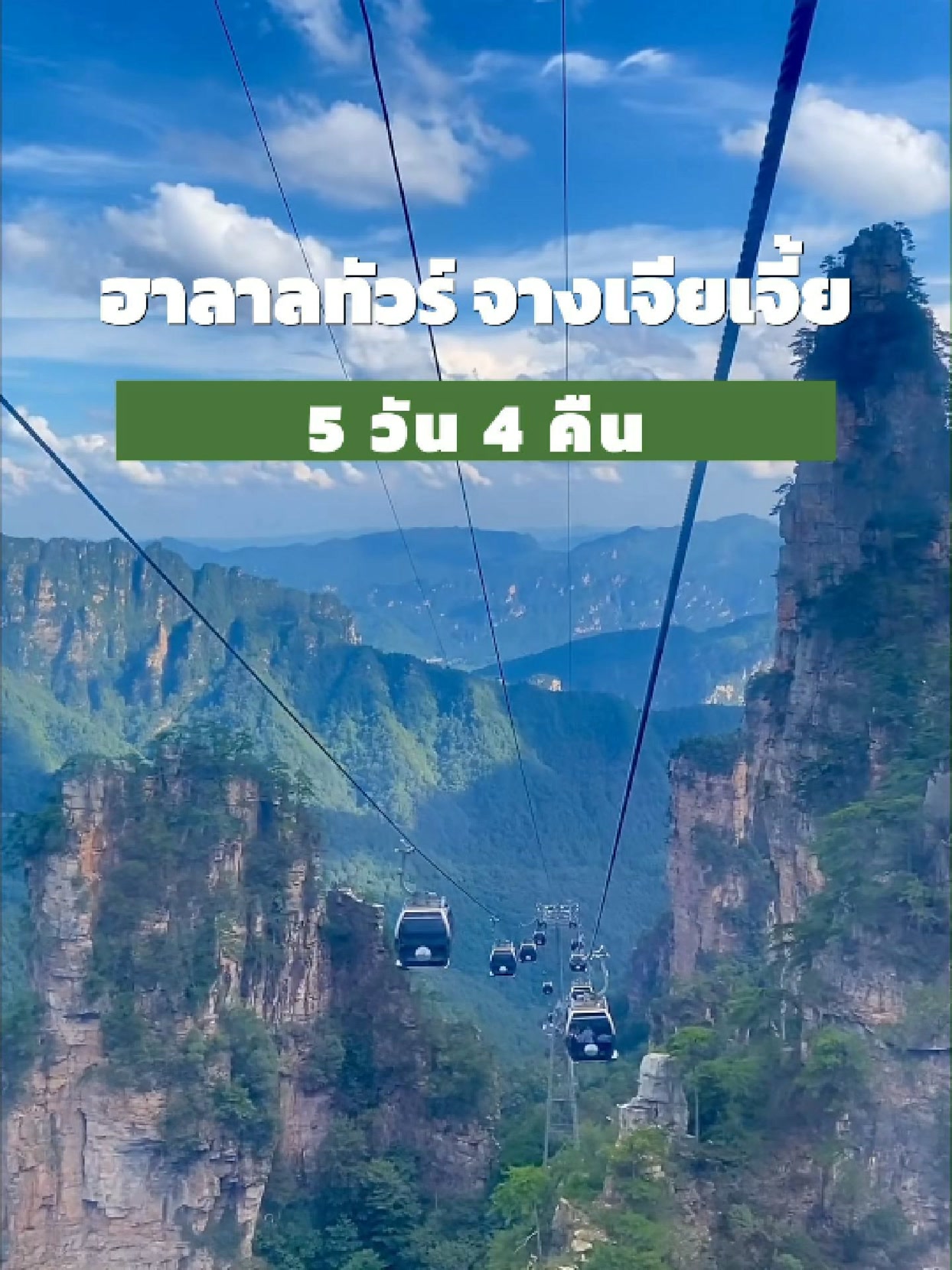 𝗭𝗵𝗮𝗻𝗴𝗷𝗶𝗮𝗷𝗶𝗲 ⛰️🇨🇳 ☪️ ฮาลาลทัวร์ จางเจียเจี้ย ฟูหรงเจิ้น เฟิ่งหวง | 𝟱 วัน 𝟰 คืน ☪️ 📅 กำหนดการเดินทาง : 𝟮𝟭-𝟮𝟱 ต.ค. 𝟲𝟵 | 𝟭𝟴-𝟮𝟮 พ.ย. 𝟲𝟵 | 𝟭𝟲-𝟮𝟬 ธ.ค. 𝟲…